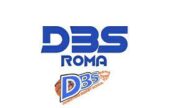 DBS Dominator Basket Roma